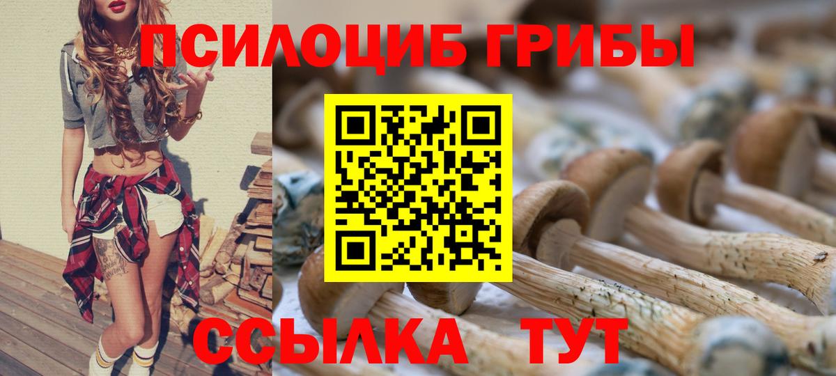 Псилоцибиновые грибы мухоморы Юрга